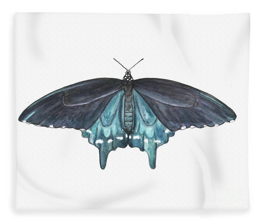 Butterfly Butterflies Florida American Pipevine Swallowtail Blue Navy Transformation Watercolor Fleece Blanket featuring the painting Pipevine Swallowtail Butterfly by Pamela Schwartz