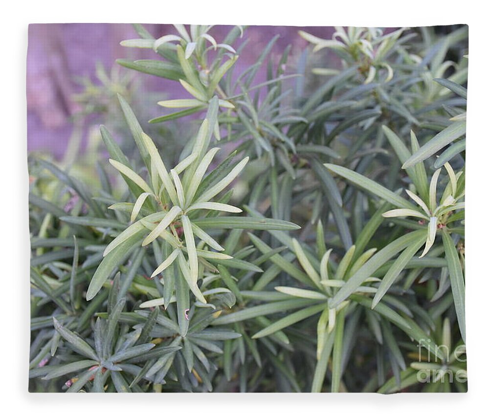 Photograph Of Green Plants Fleece Blanket featuring the photograph Plants by Theresa Honeycheck
