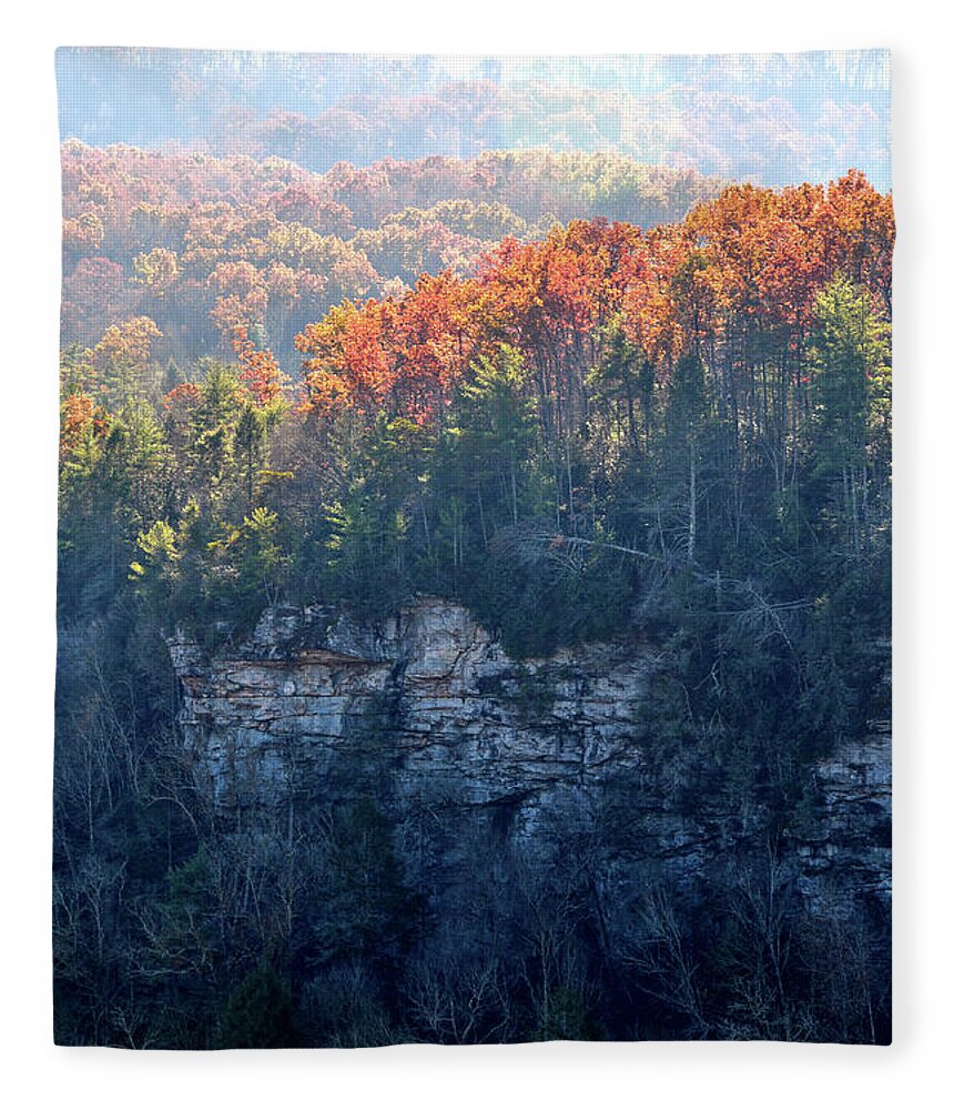 Nature Fleece Blanket featuring the photograph Point Trail At Obed 5 by Phil Perkins