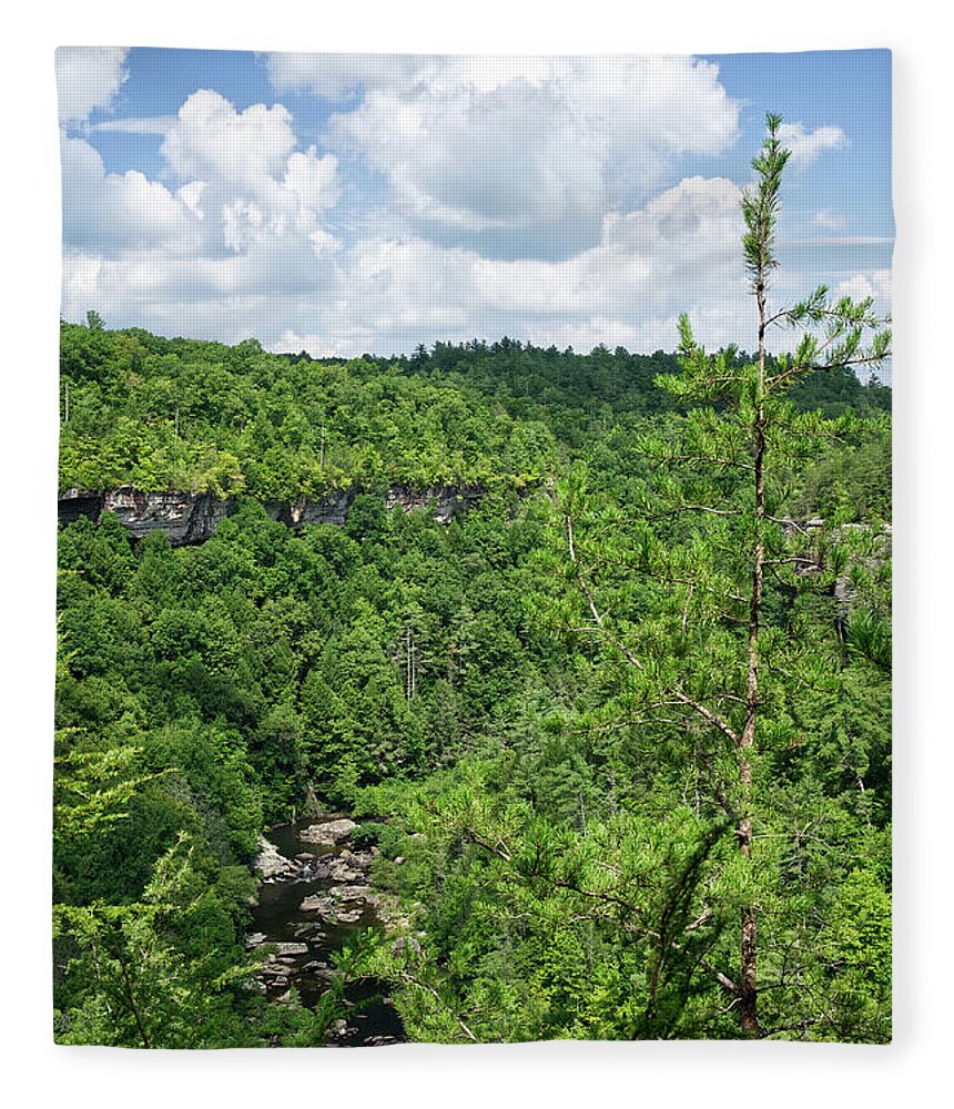 Obed Fleece Blanket featuring the photograph Point Trail At Obed 7 by Phil Perkins