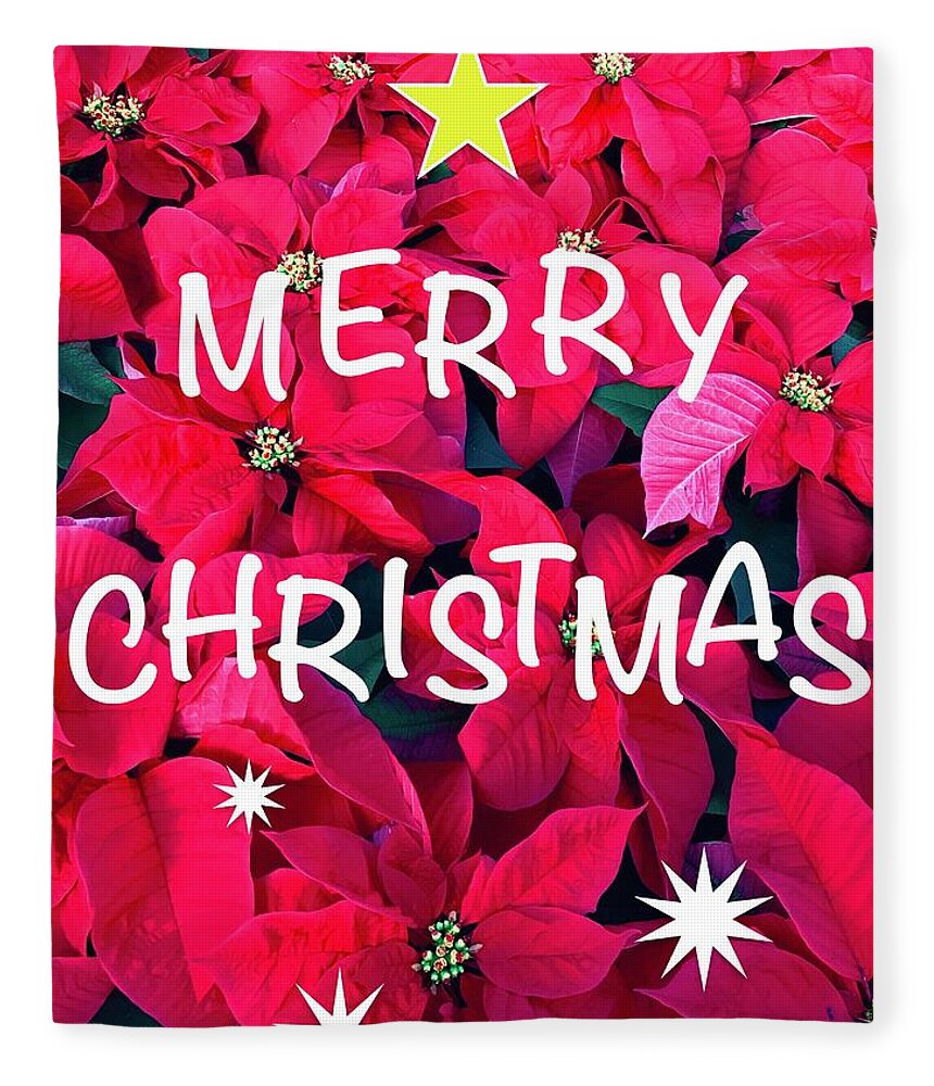 Poinsettia Fleece Blanket featuring the photograph A Pointsettia Christmas by Alida M Haslett
