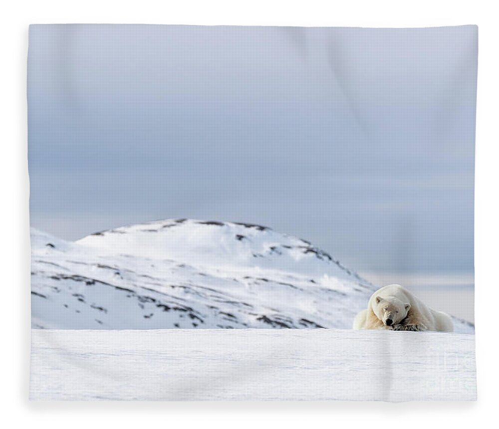 Polar Fleece Blanket featuring the photograph Polar bear resting on the snow in Svalbard by Jane Rix