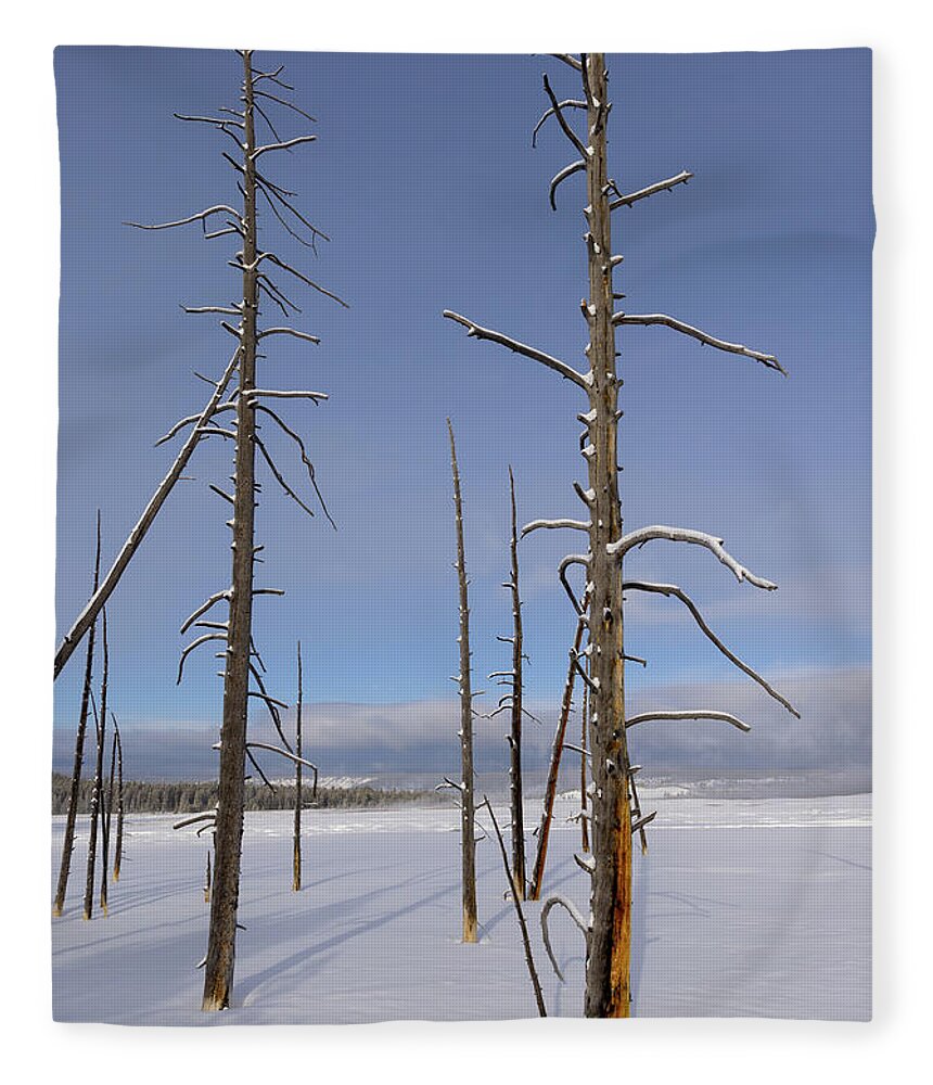 Yellowstone National Park Fleece Blanket featuring the photograph Pole Pines in Yellowstone by Cheryl Strahl