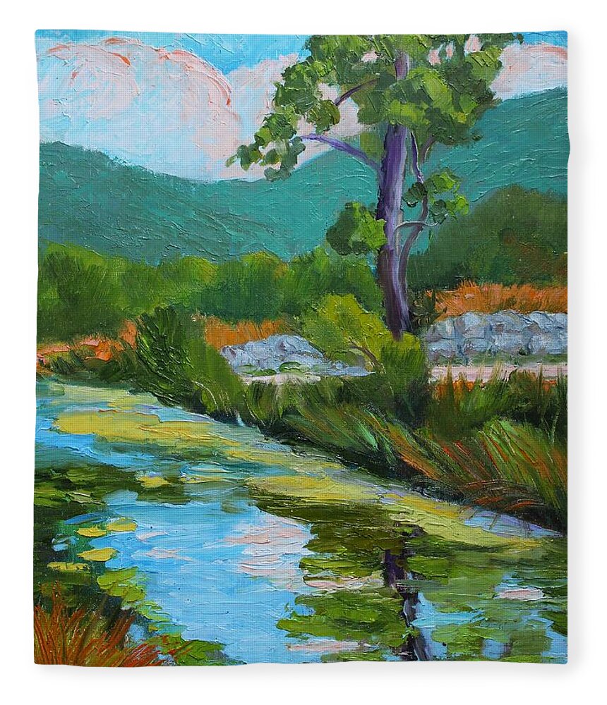 Plein Air Fleece Blanket featuring the painting Pond Reflections at St. Andres de Cruzier by Marian Berg