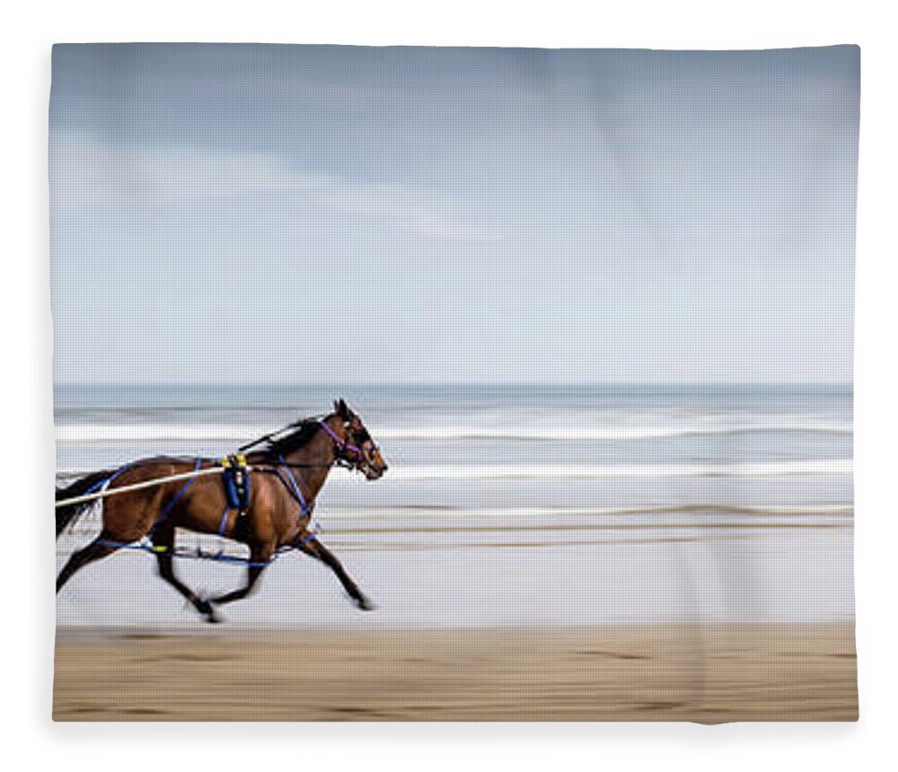 Pony Fleece Blanket featuring the photograph Pony and Trap by Nigel R Bell