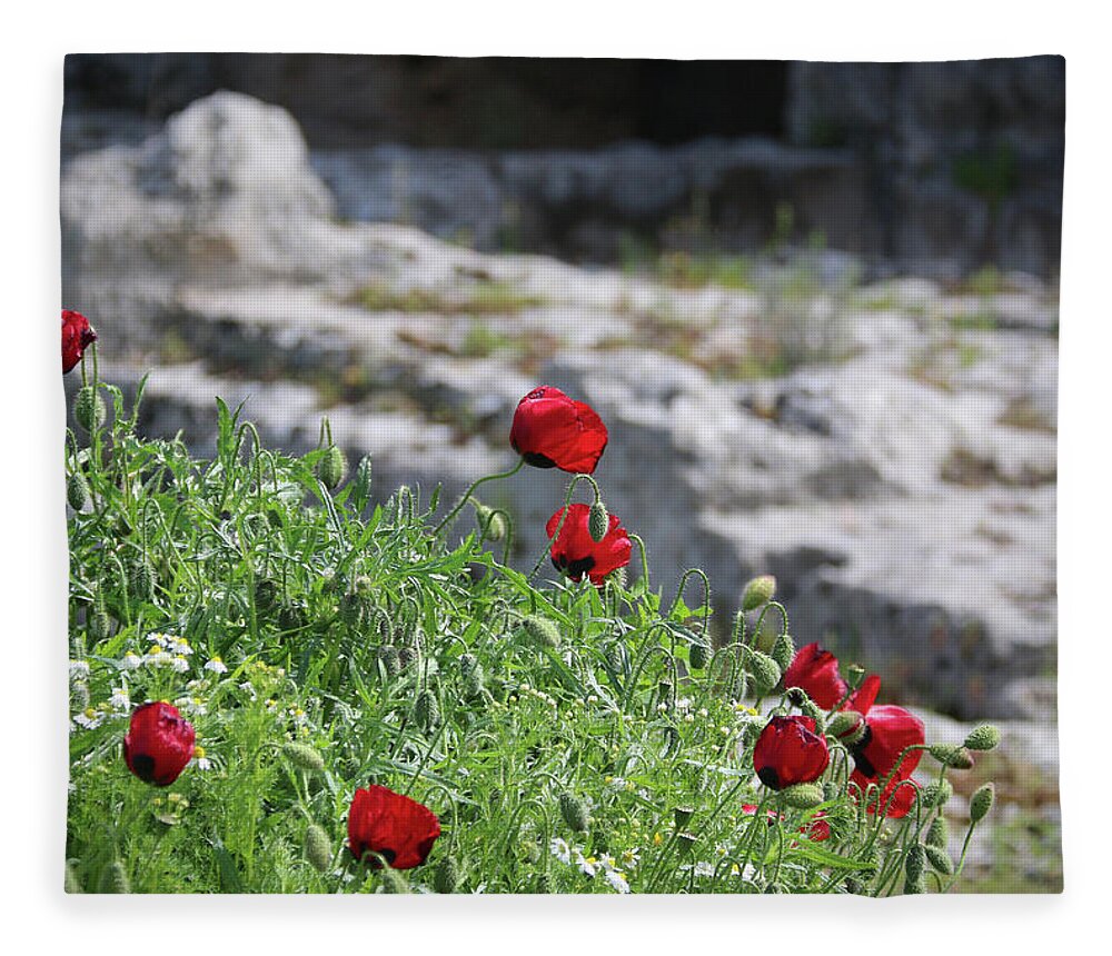 Poppies Fleece Blanket featuring the photograph Poppies and Ruins by M Kathleen Warren