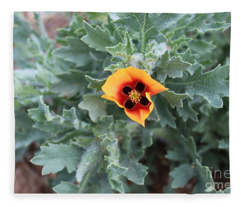 Unknown Poppy Fleece Blanket featuring the photograph Poppy by Doug Miller