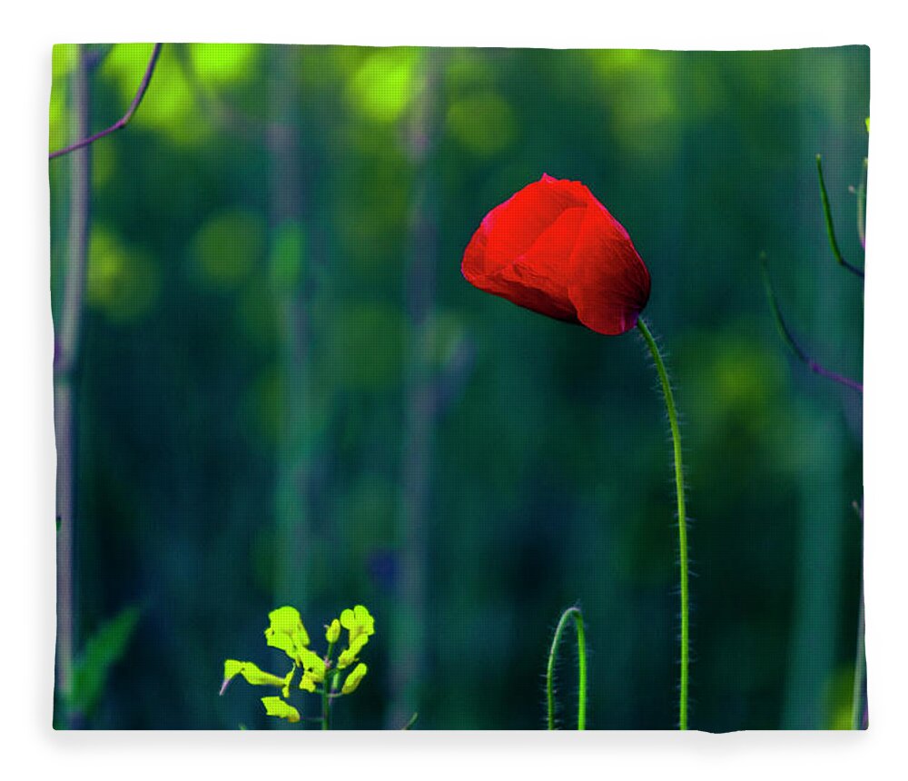 Bulgaria Fleece Blanket featuring the photograph Poppy by Evgeni Dinev