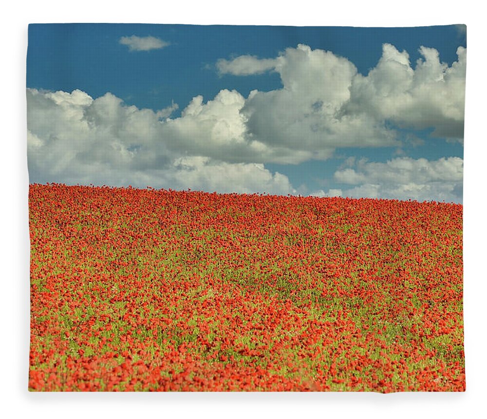 Landscape Fleece Blanket featuring the photograph Poppy field 4 by Remigiusz MARCZAK