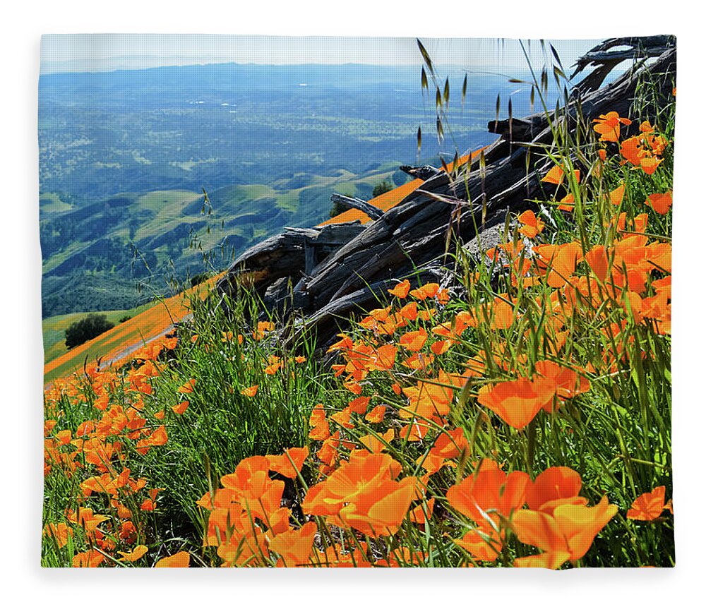 California Fleece Blanket featuring the photograph Poppy Mountain by Kyle Hanson