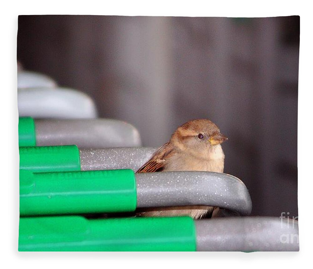 Birds Fleece Blanket featuring the photograph Popup Shopper by Kimberly Furey