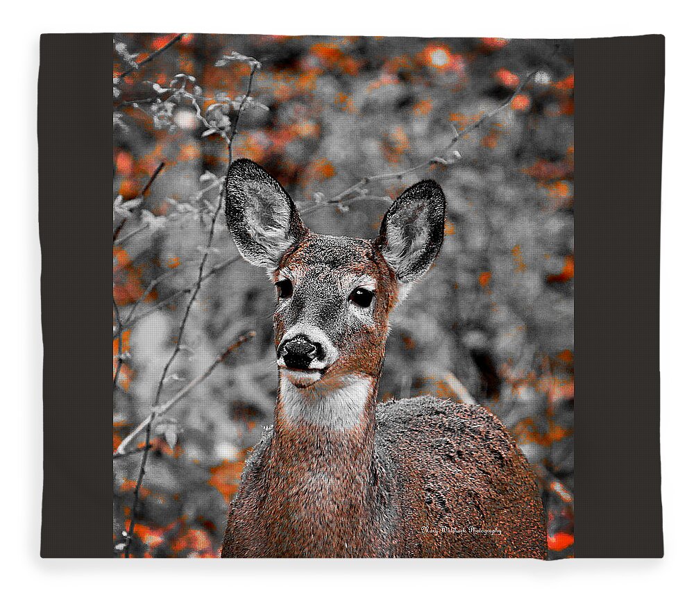 Wildlife Fleece Blanket featuring the photograph Portrait in Orange by Mary Walchuck