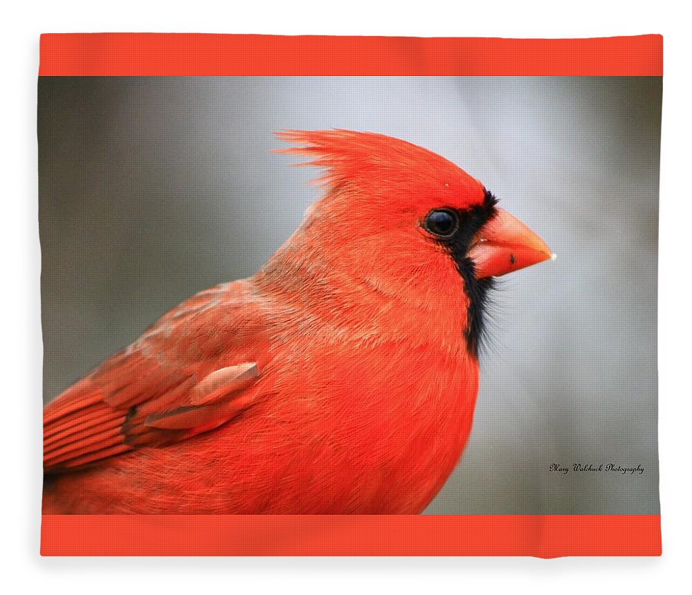 Birds Wildlife Nature Fleece Blanket featuring the photograph Portrait of a Cardinal by Mary Walchuck