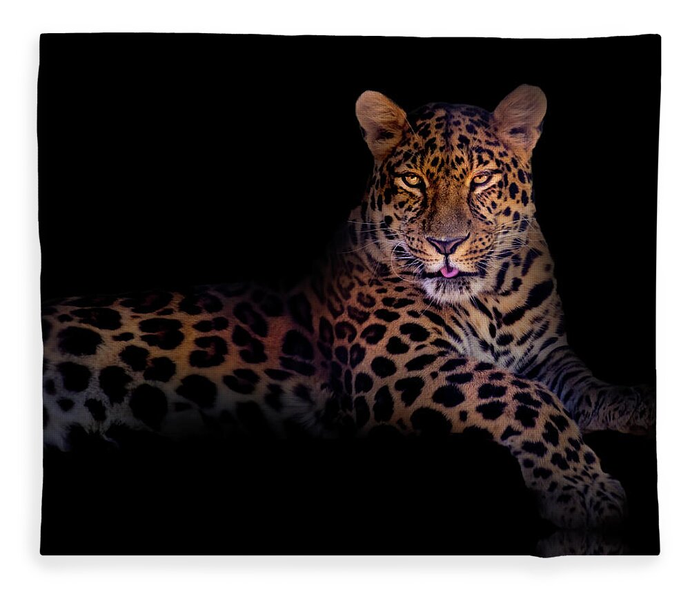 Background Fleece Blanket featuring the photograph Portrait of a Leopard by Mark Andrew Thomas