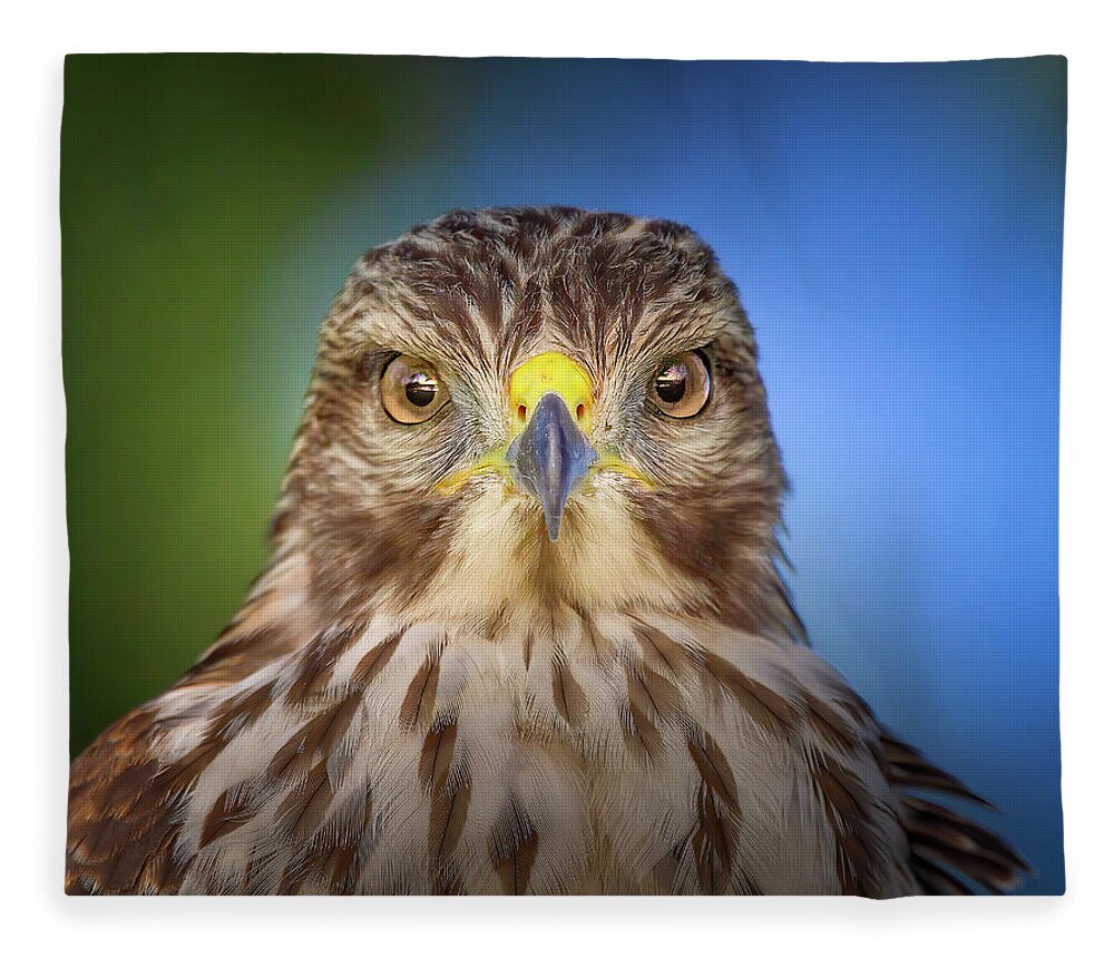 Red Shouldered Hawk Fleece Blanket featuring the photograph Portrait of a Raptor by Mark Andrew Thomas