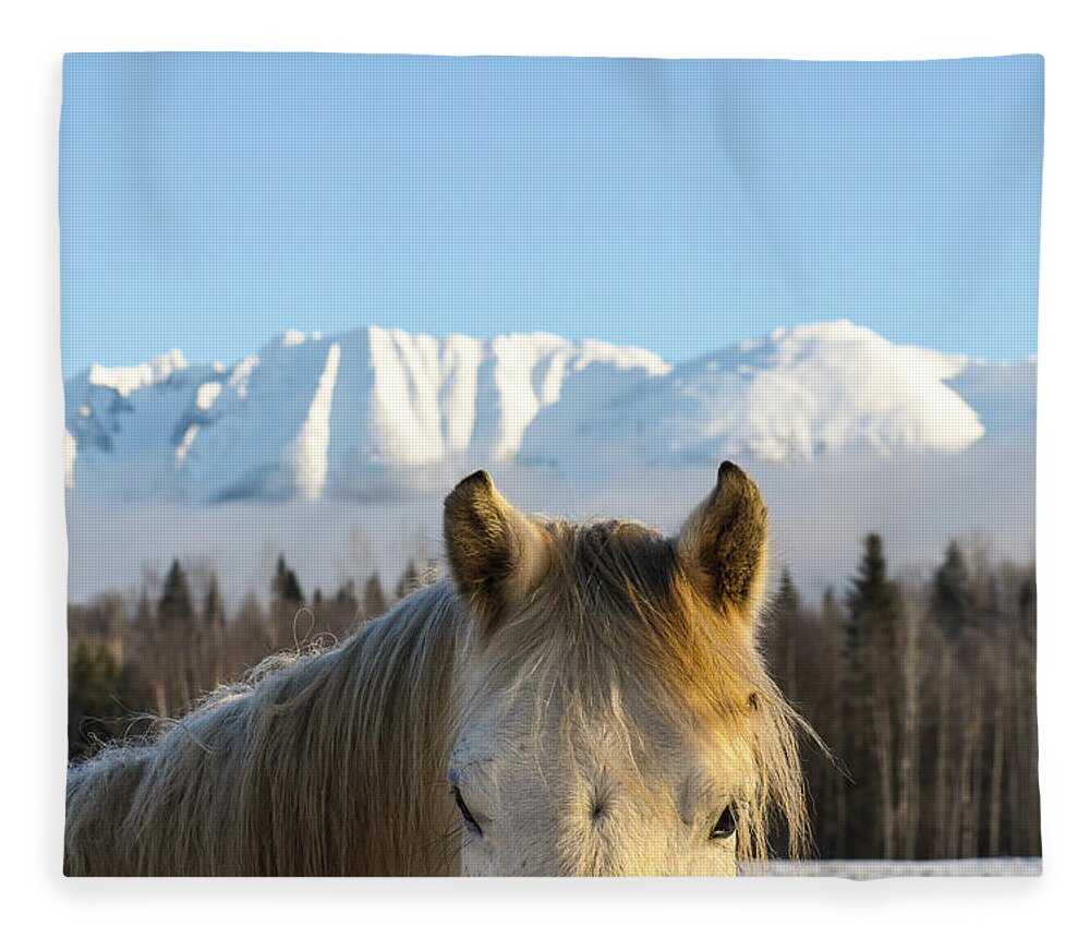 Winter Fleece Blanket featuring the photograph Power from the Mountain by Listen To Your Horse