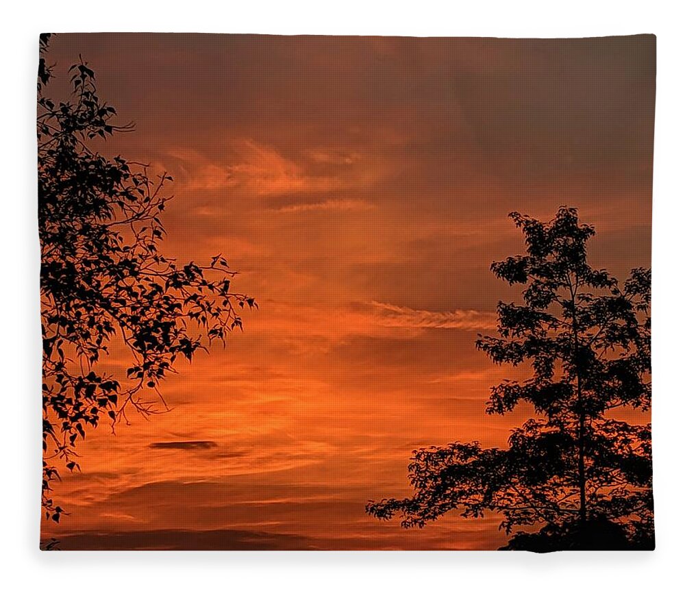  Fleece Blanket featuring the photograph Pre-Dawn in the Neighborhood by Brad Nellis