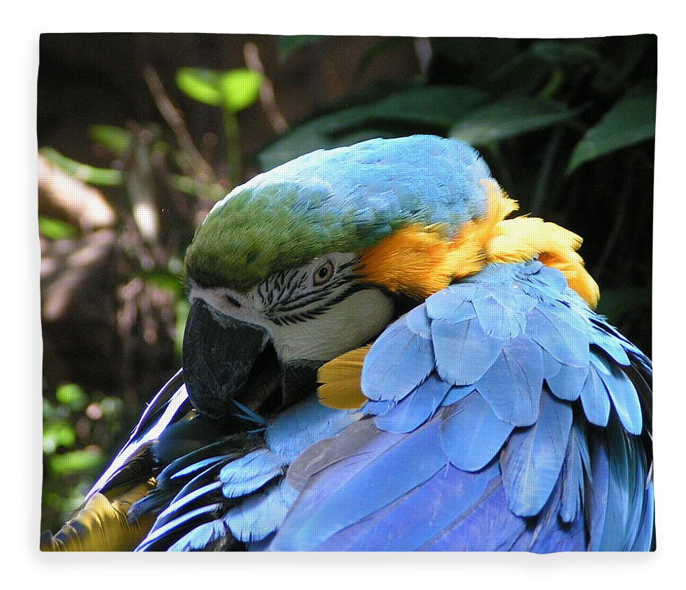  Fleece Blanket featuring the photograph Preening Macaw by Heather E Harman