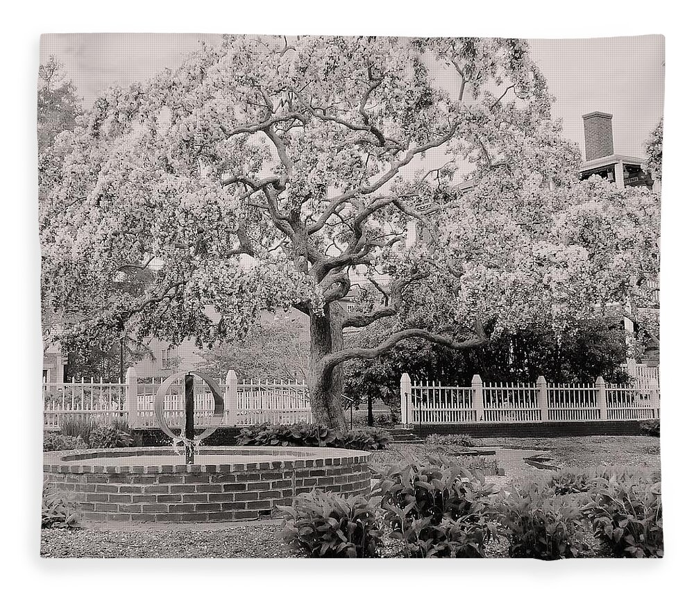 - Prescott Park Spring Tree 4 - Black And White - Portsmouth Nh Fleece Blanket featuring the photograph - Prescott Park Spring Tree 4 - black and white - Portsmouth NH by THERESA Nye