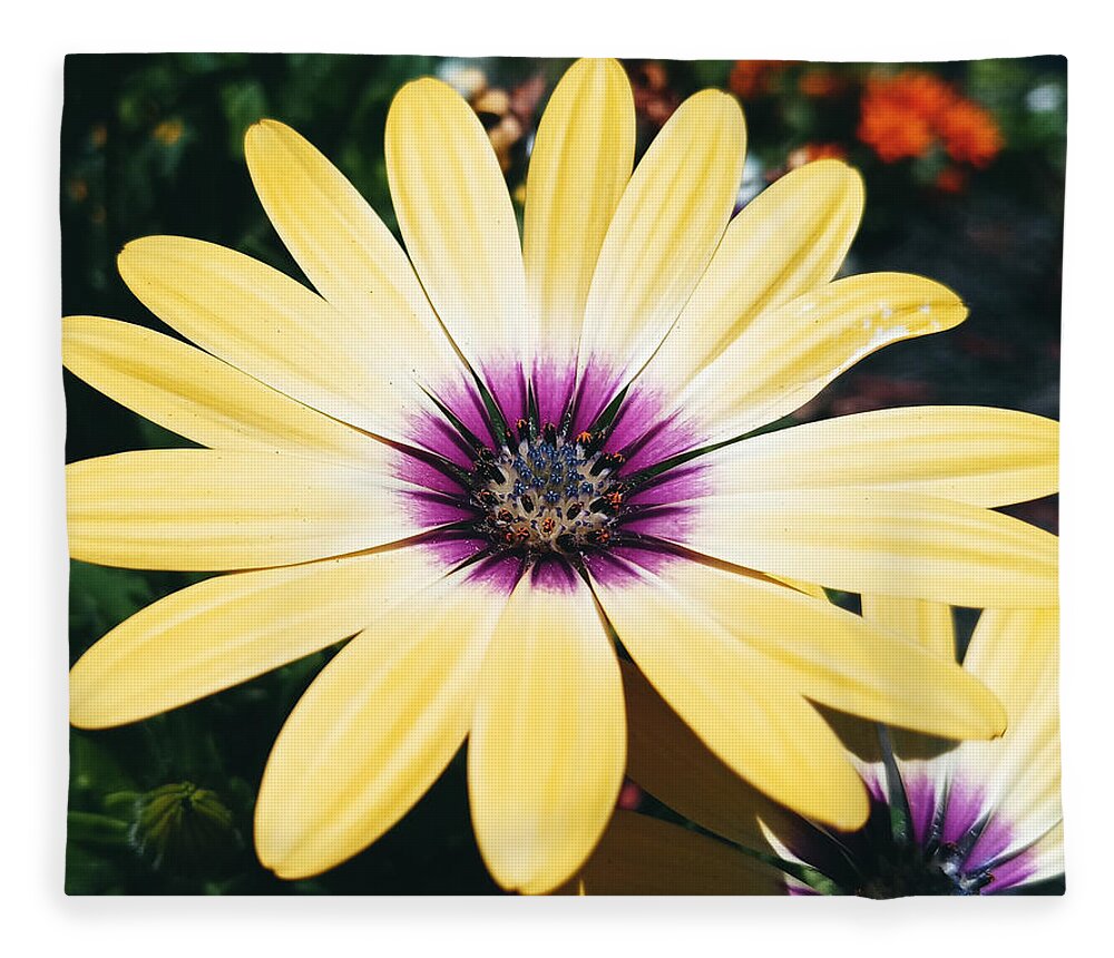 Flower Fleece Blanket featuring the photograph Pretty Eyed Flower by Dani McEvoy