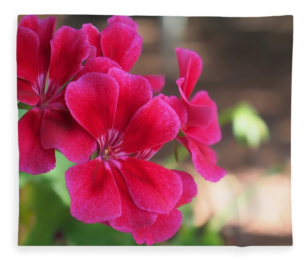 Red Fleece Blanket featuring the photograph Pretty Flower 5 by C Winslow Shafer