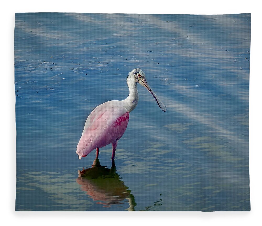 Spoonbill Fleece Blanket featuring the photograph Pretty in Pink by Laura Putman