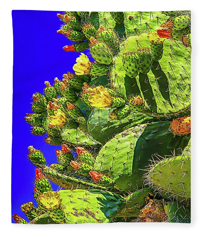 Cactus Fleece Blanket featuring the photograph Prickly Pear Bloom by Don Schimmel
