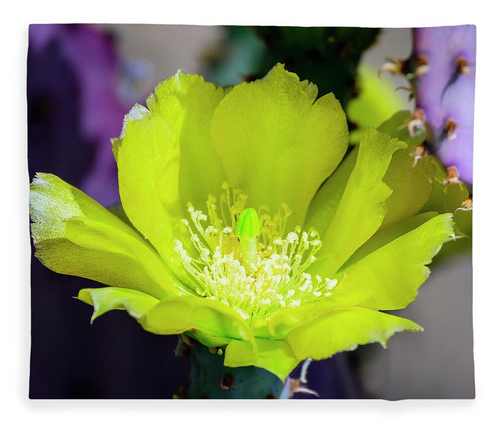 Floral Fleece Blanket featuring the photograph Prickly Pear Flower 25105 by Mark Myhaver