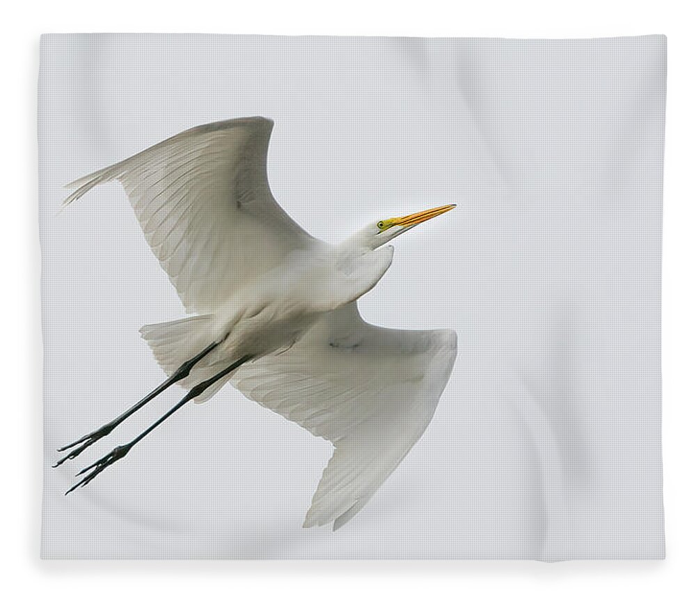 Egret Fleece Blanket featuring the photograph Profile of Flight by Ray Silva
