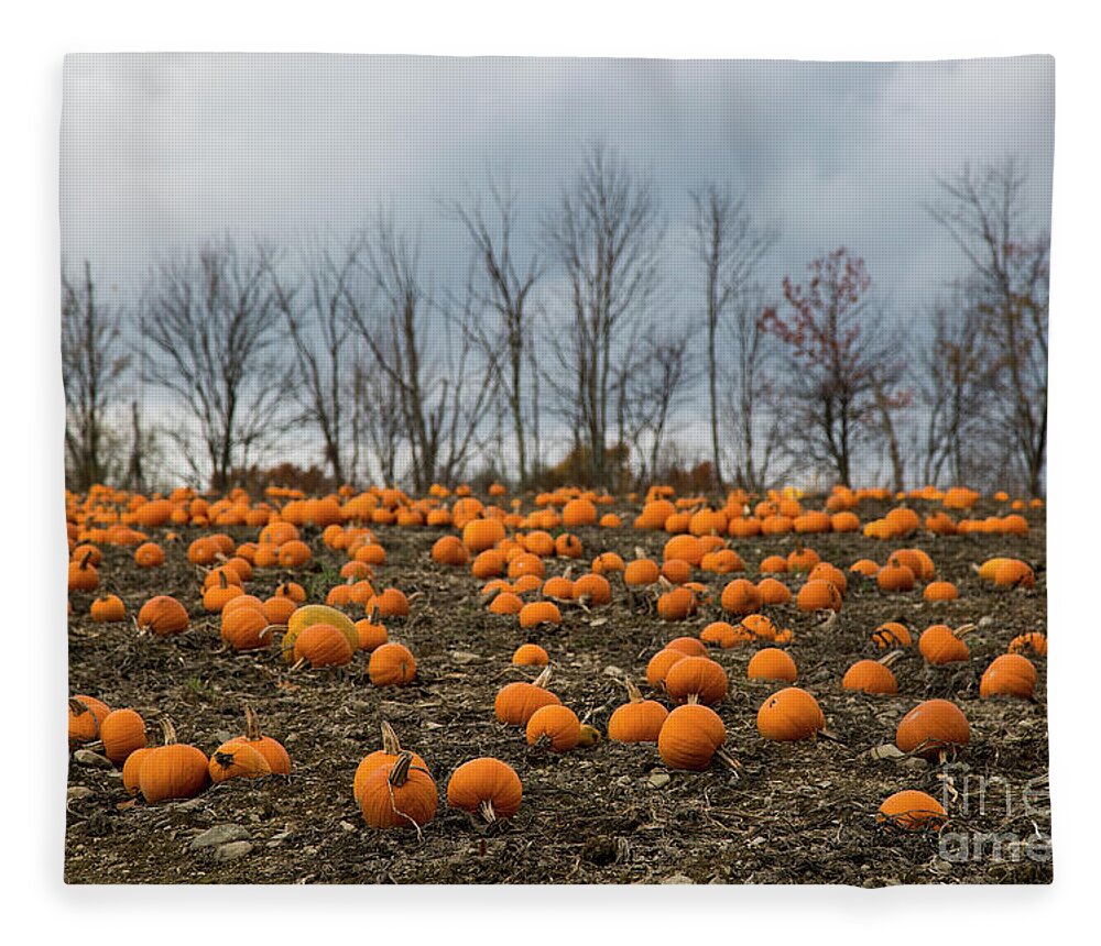 Nepa Fleece Blanket featuring the photograph Pumpkin Patch by Erin Marie Davis