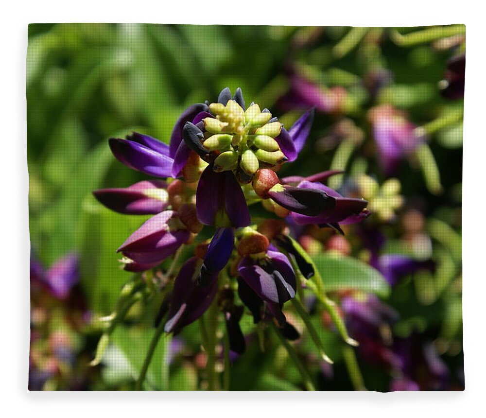 Flower Fleece Blanket featuring the photograph Purple Buds by Heather E Harman