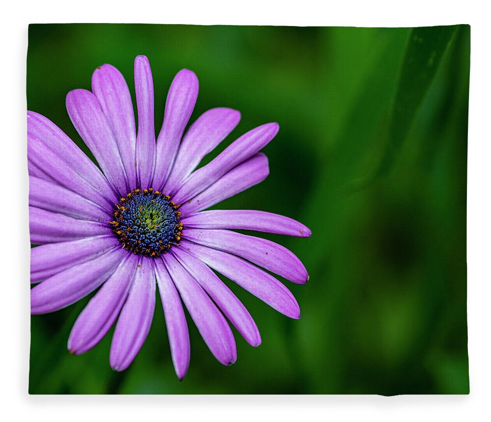 Flower Fleece Blanket featuring the photograph Purple Daisy by Cathy Kovarik