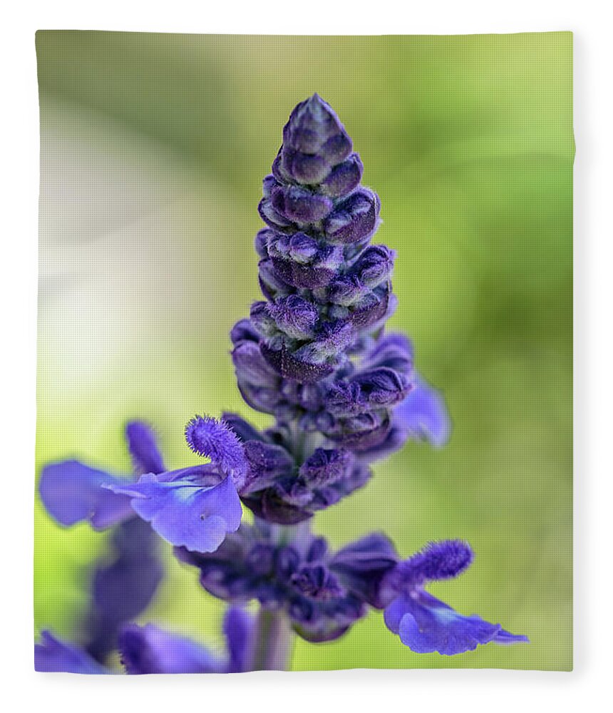 Flowers Fleece Blanket featuring the photograph Purple by David Lee