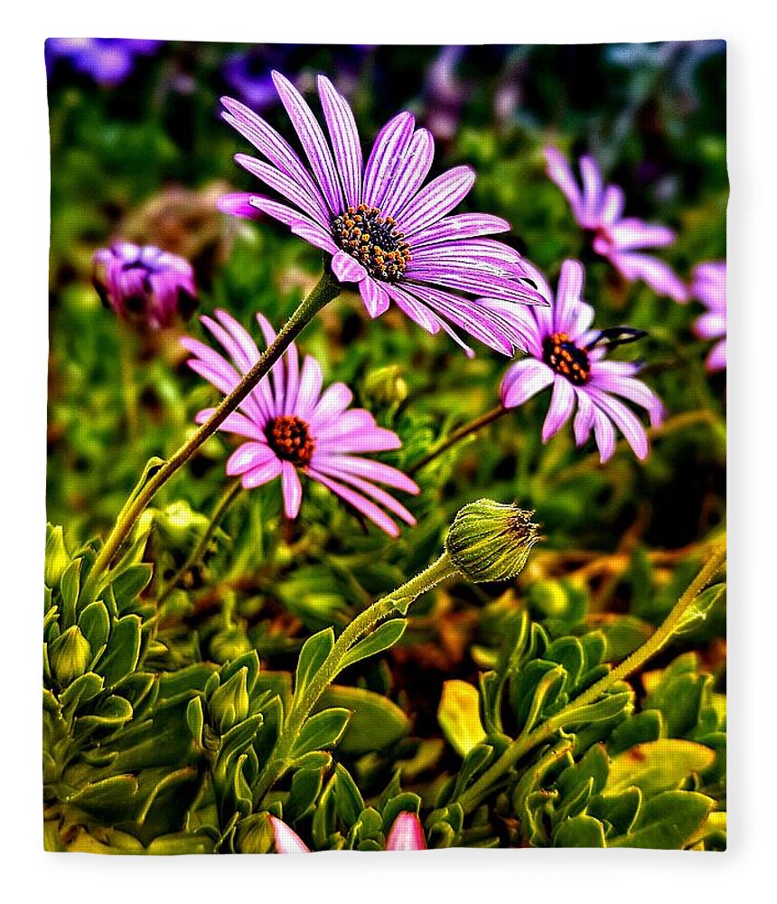 Purple Fleece Blanket featuring the photograph Purple Flowers by Dave Zumsteg