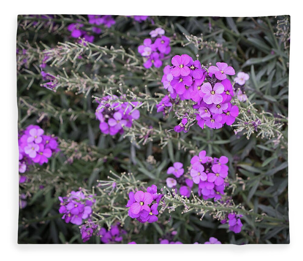 2017 Fleece Blanket featuring the photograph Purple Flowers by Gerri Bigler