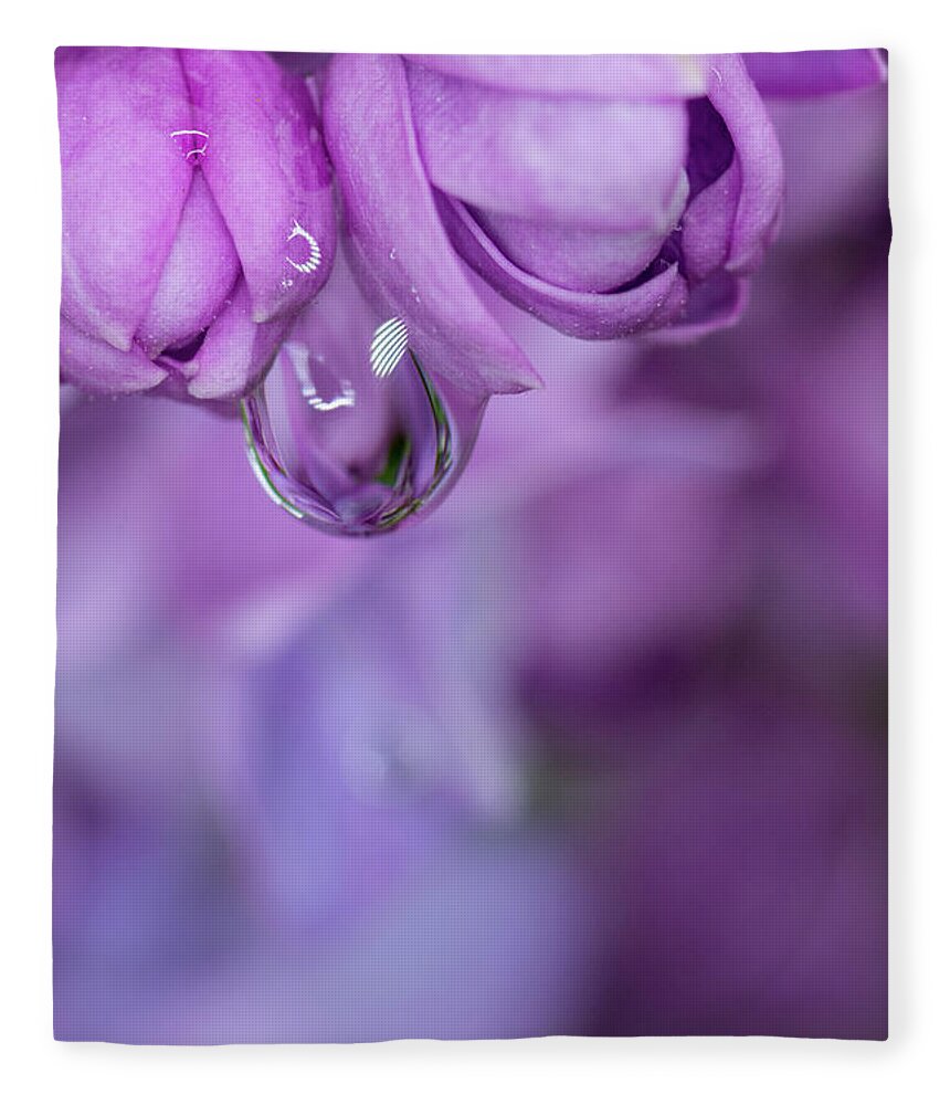 Purple Flower Fleece Blanket featuring the photograph Purple Lilac Waterdrop by Crystal Wightman