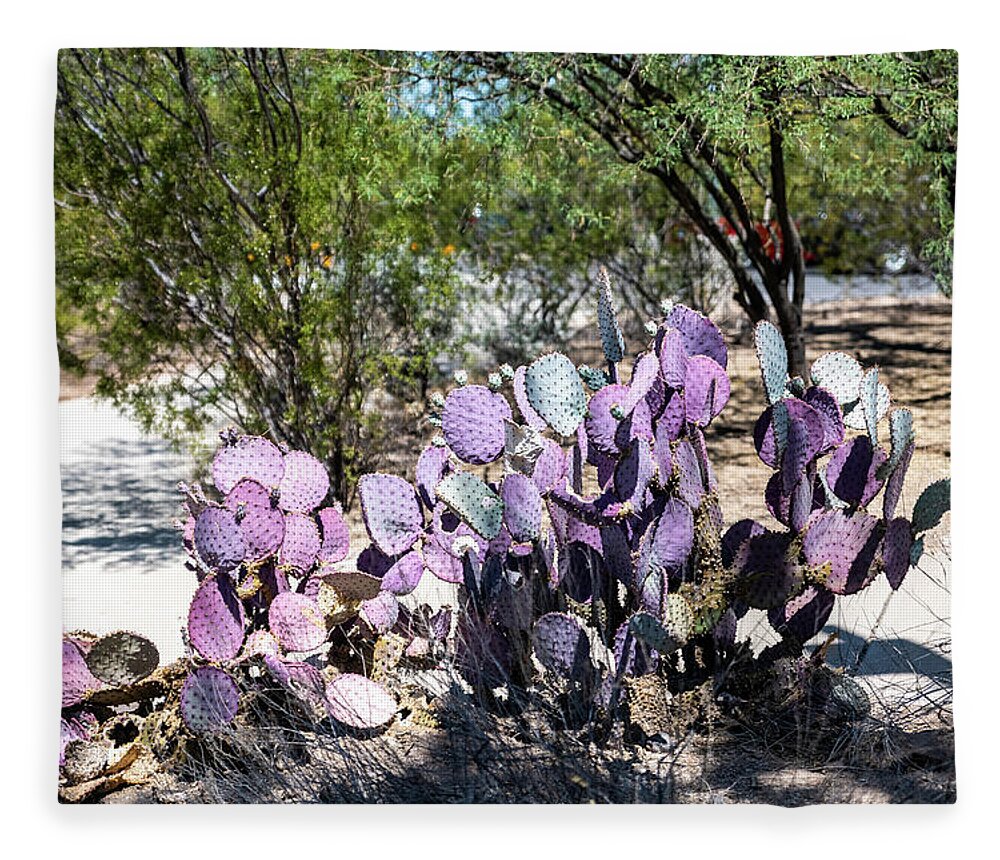 Purple Prickly Pear Fleece Blanket featuring the photograph Purple Prickly Pear by Tom Cochran