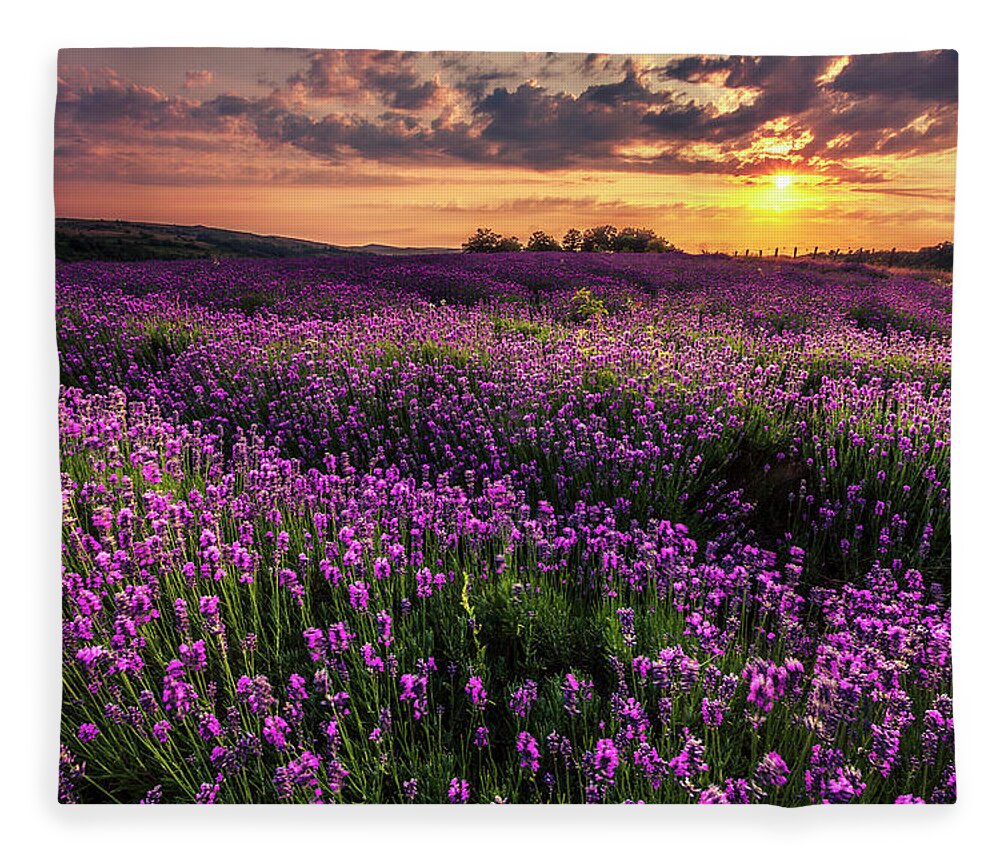 Bulgaria Fleece Blanket featuring the photograph Purple Sea by Evgeni Dinev