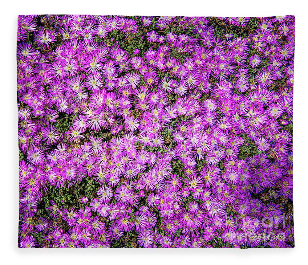 Ca Route 1 Fleece Blanket featuring the photograph Purplish Pinkish Blooms by David Levin