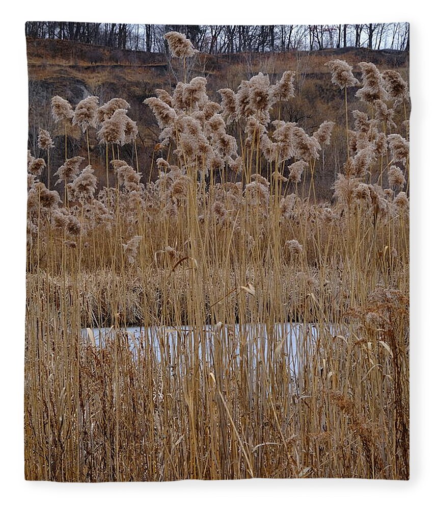 Nature Fleece Blanket featuring the photograph Quarry Whisps And Pond by Kreddible Trout