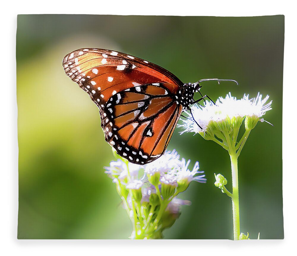 Queen Butterfly Fleece Blanket featuring the photograph Queen for a Day by Cheri Freeman