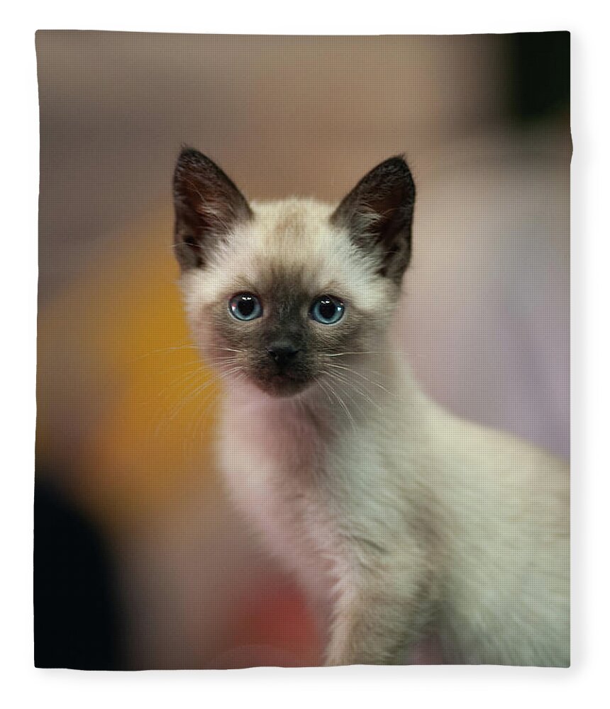Cat Fleece Blanket featuring the photograph Ragnar by DArcy Evans
