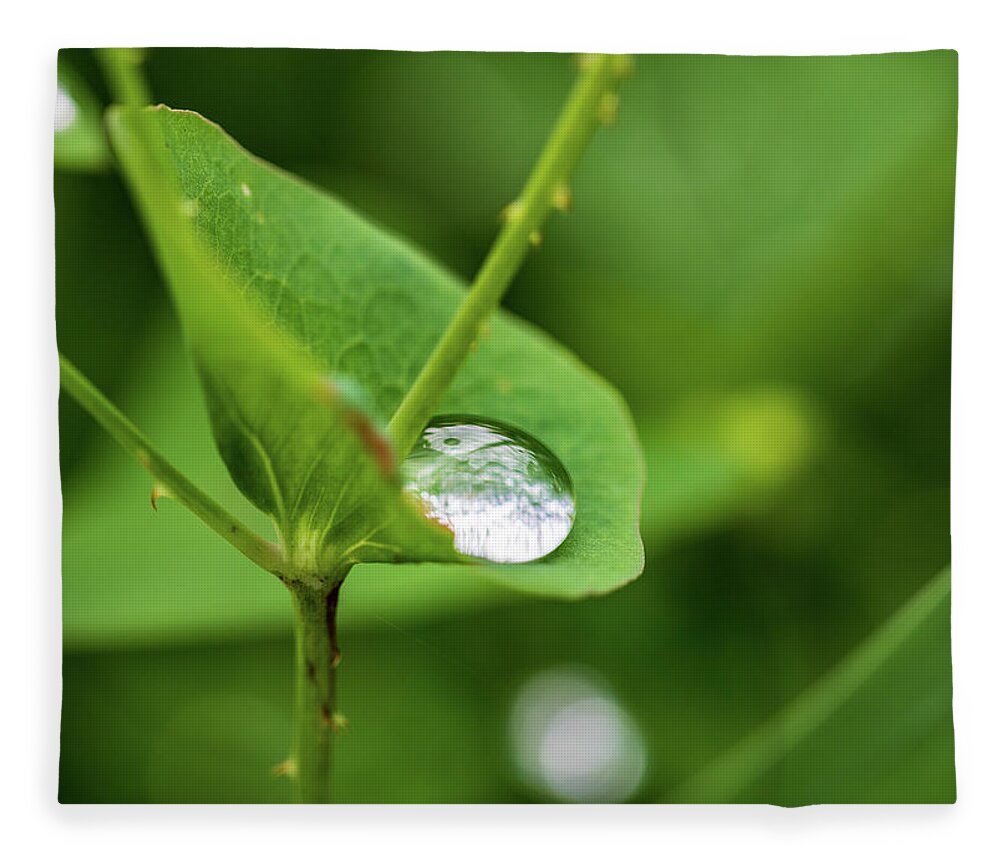 Leaf Fleece Blanket featuring the photograph Rain Drops On Green Leaves by Amelia Pearn