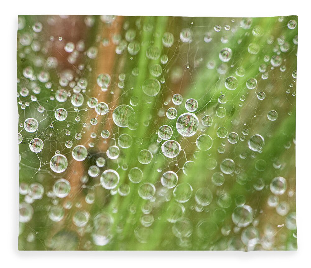 Rain Fleece Blanket featuring the photograph Raindrops On A Web Net by Karen Rispin