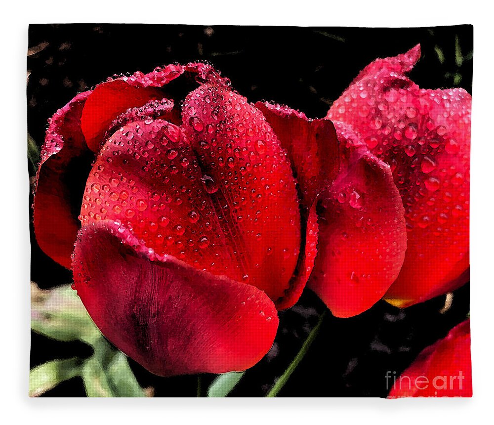 Tulips Fleece Blanket featuring the photograph Raindrops on Tulips by Jeanette French