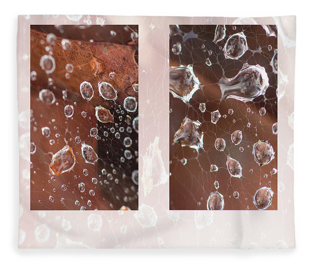 Raindrop Fleece Blanket featuring the photograph Raindrops On Web by Karen Rispin