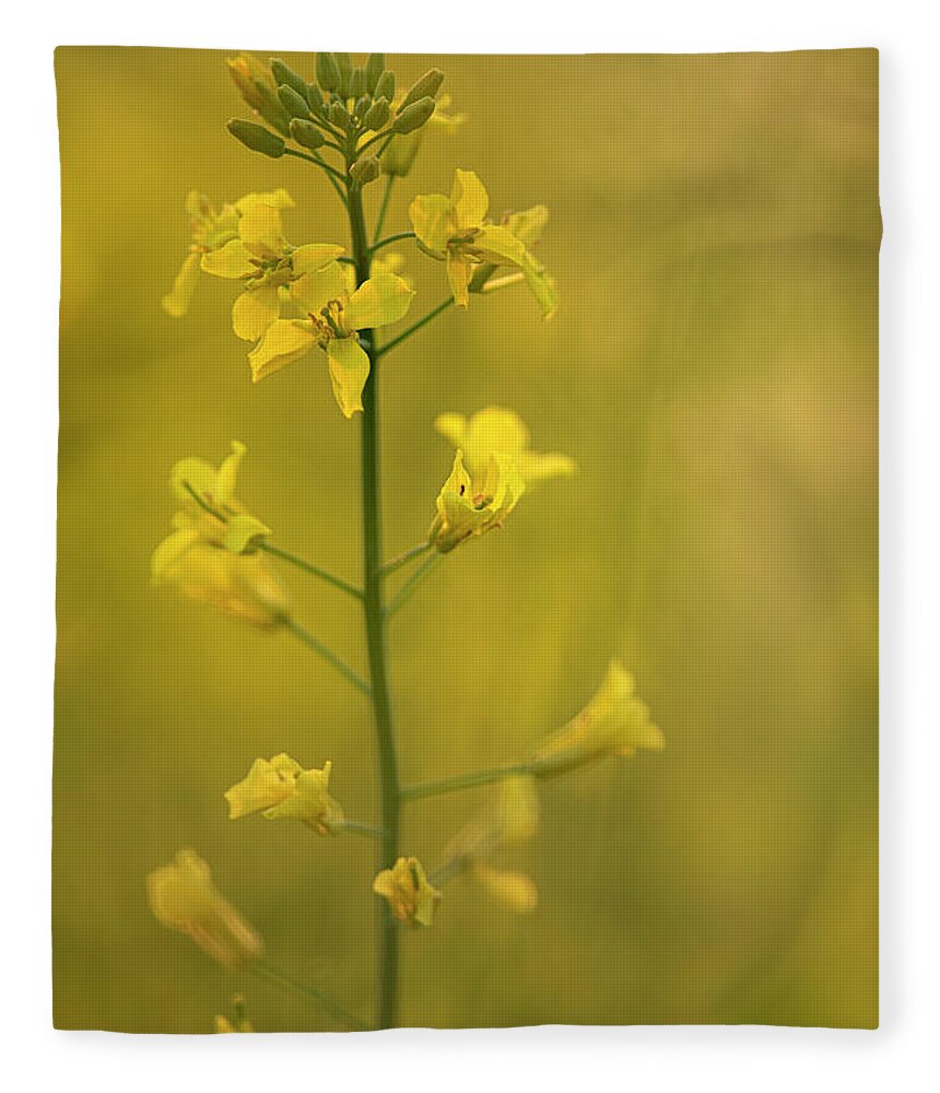 Rapeseed Fleece Blanket featuring the photograph Rapeseed flowers by Karen Rispin