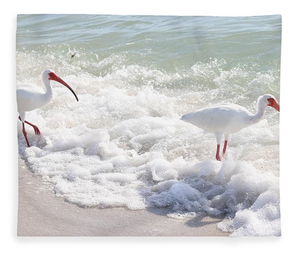 White Ibis Fleece Blanket featuring the photograph Rare visitors at the Beach by Mingming Jiang