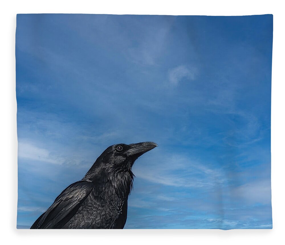 Raven Fleece Blanket featuring the photograph Raven Portrait by Laura Putman