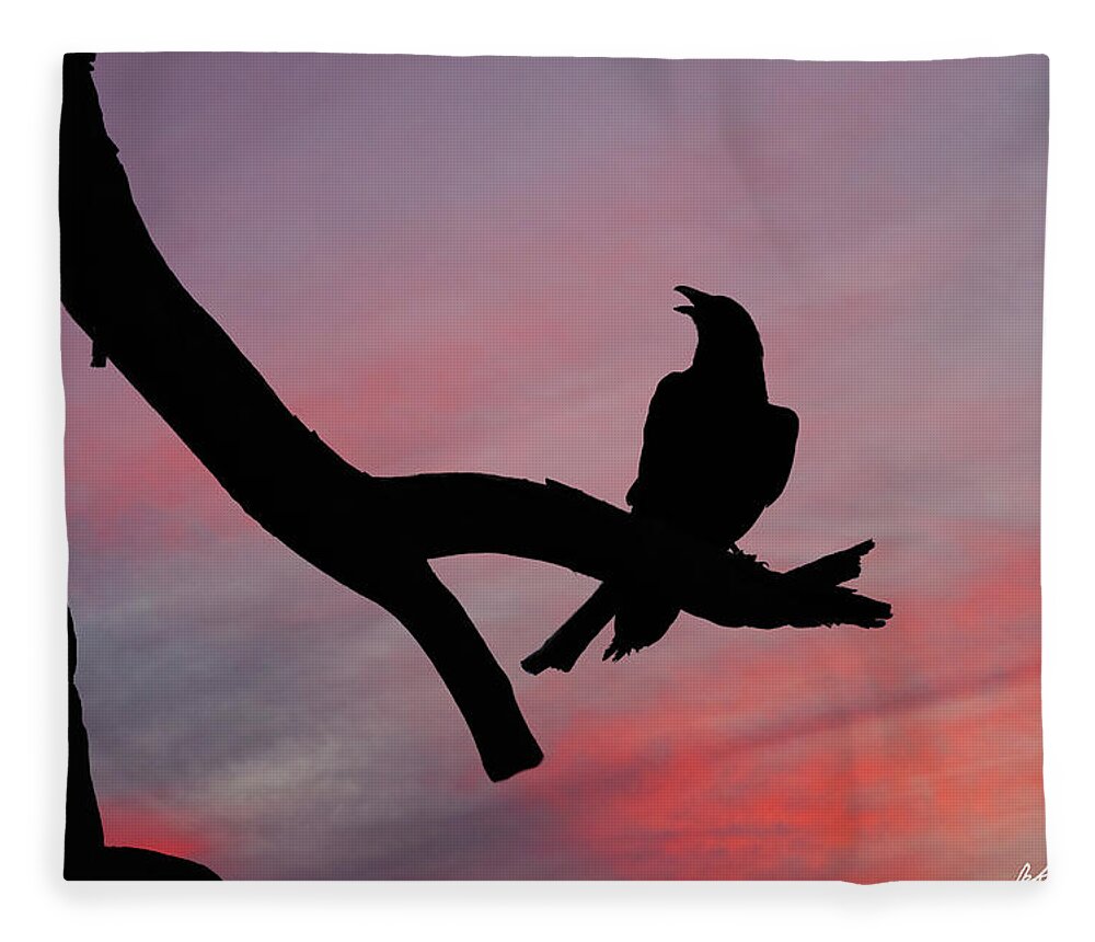 Adult Fleece Blanket featuring the photograph Raven Silhouette by Jeff Goulden